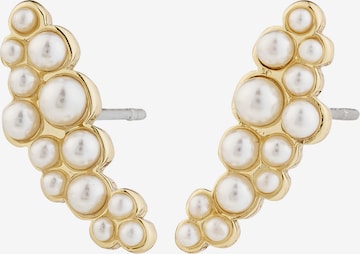 zelts Pilgrim Auskari 'Jova': no priekšpuses