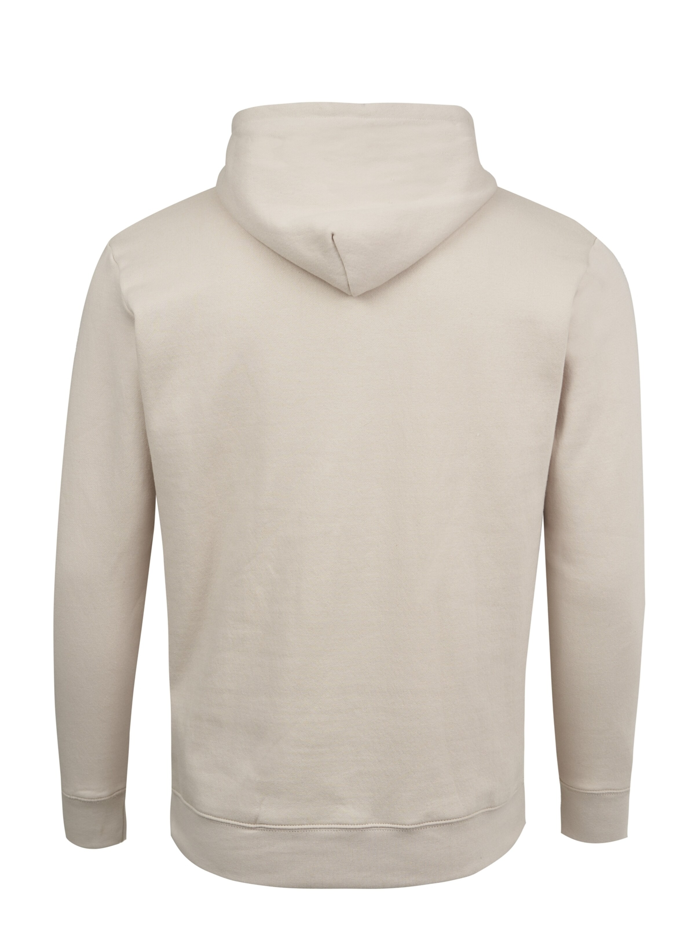 Mikon Sweatshirt in Beige