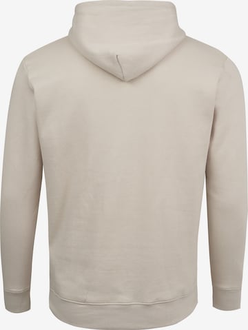 Sweat-shirt Mikon en beige