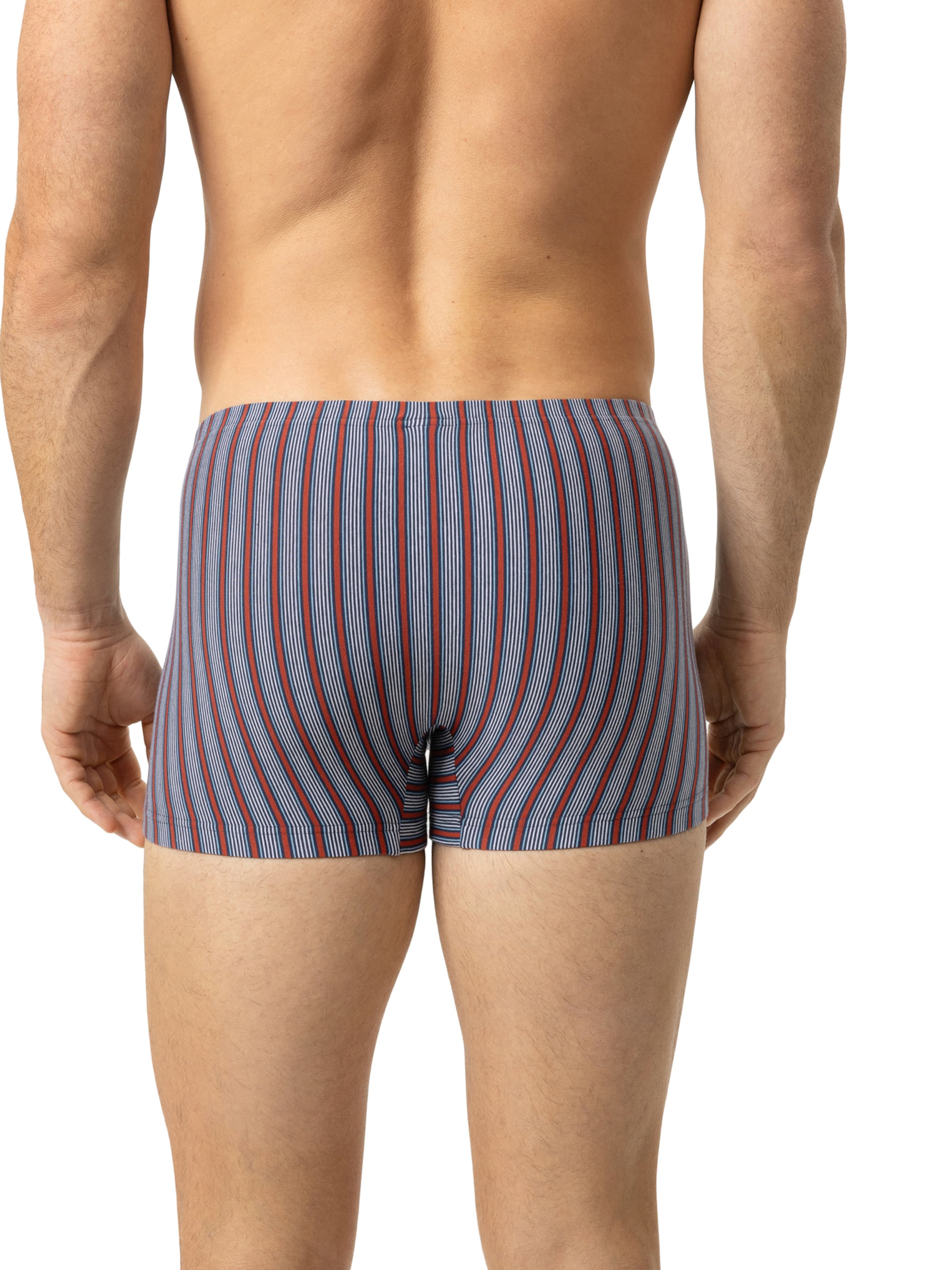 Mey Boxershorts ' Serie Varied Stripes ' in Blauw