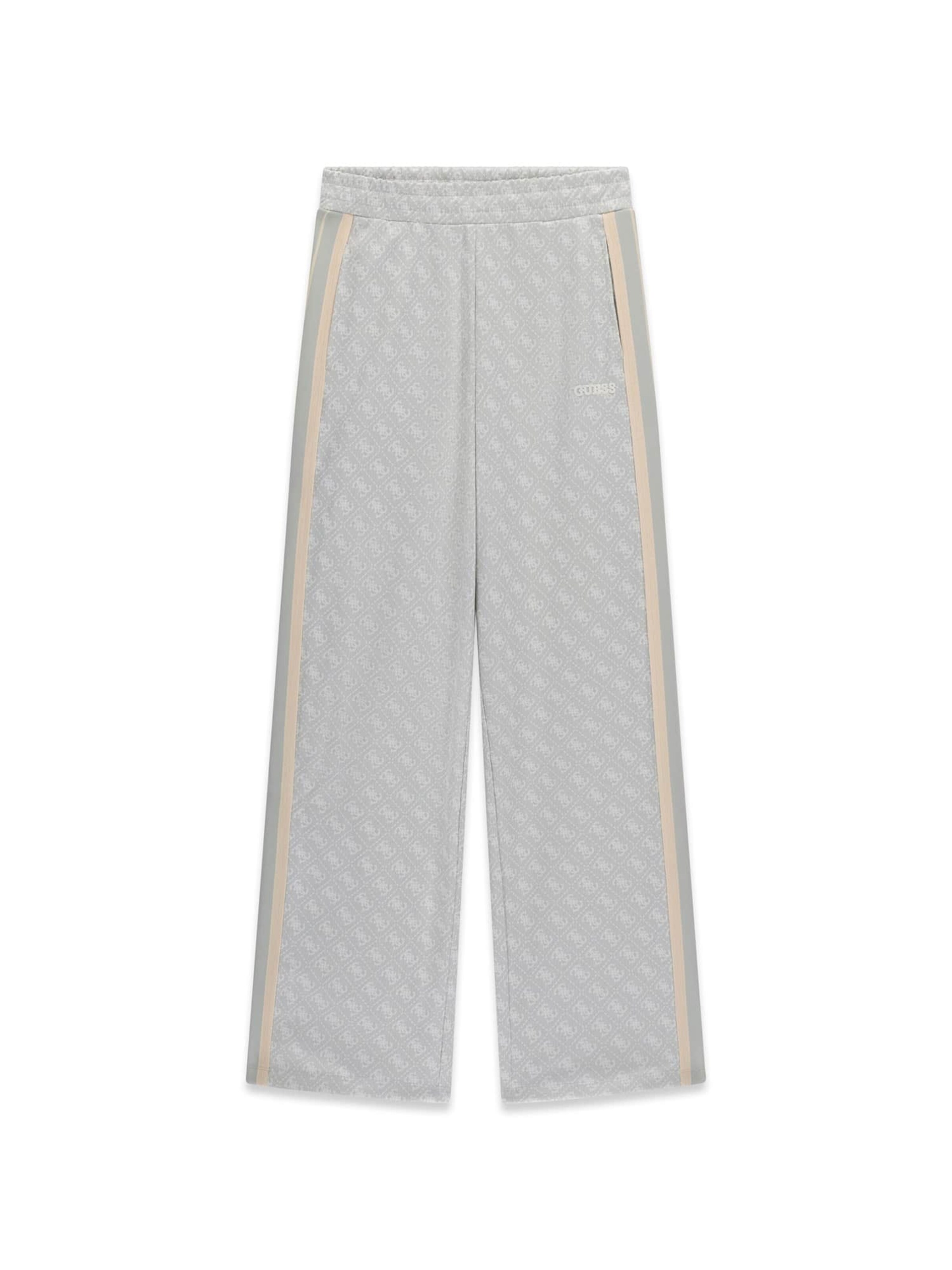 GUESS Hose in Grau: Vorderseite