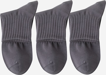Millo Socks 'Everyday Teens' in Grey: front