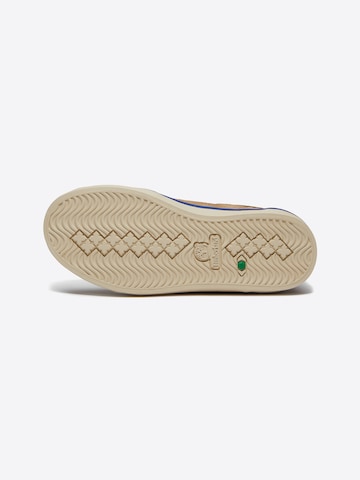 Sneaker di TIMBERLAND in bianco