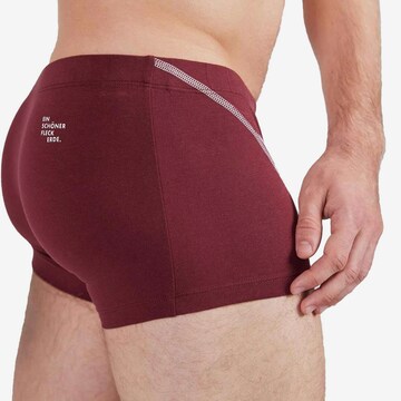 Ein schöner Fleck Erde Boxer shorts in Red