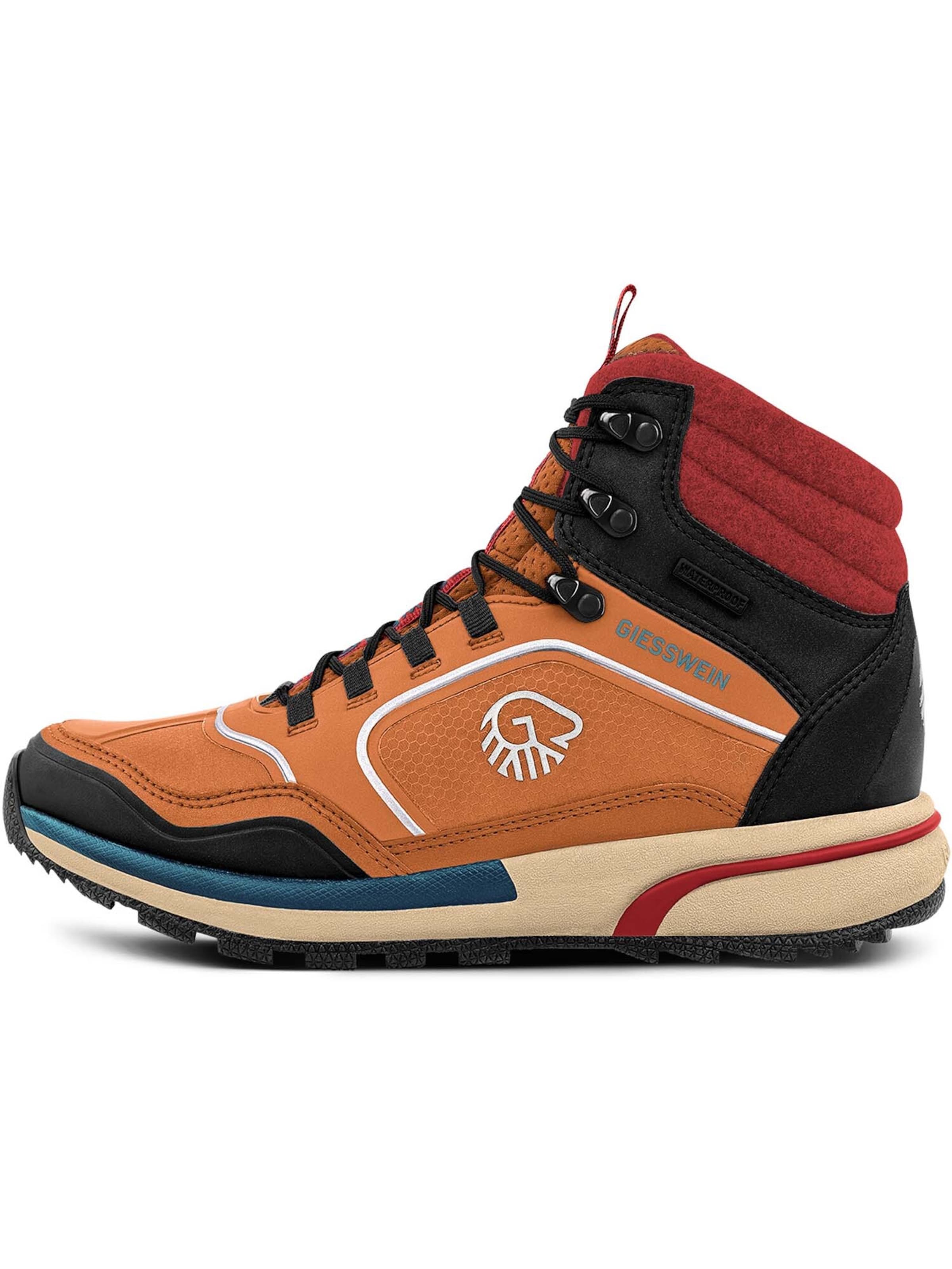 GIESSWEIN Boots in Brown: front