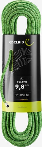 Edelrid Seil 'Boa Gym 9,8mm' in Grün: predná strana