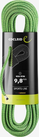 Edelrid Rope 'Boa Gym 9,8mm' in Green: front