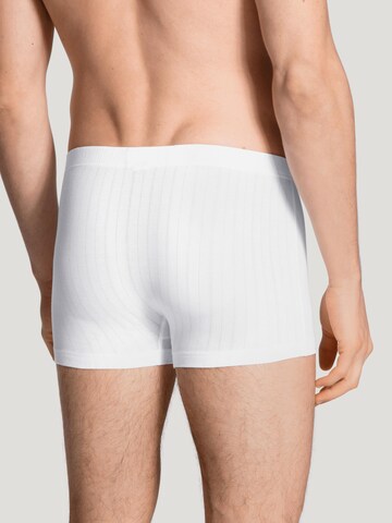 CALIDA Boxershorts 'Pure & Style' in Wit