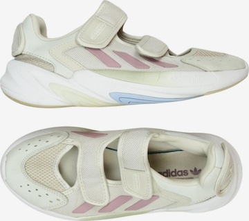 ADIDAS ORIGINALS Sneaker 43,5 in Beige: Vorderseite