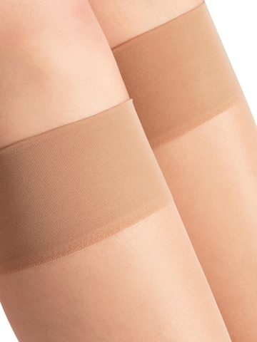FALKE Knee High Socks 'Seidenglatt' in Gold
