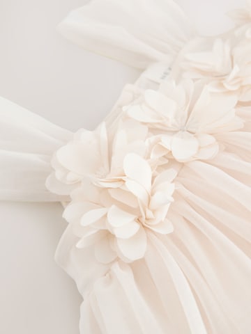 Next Dress in Beige
