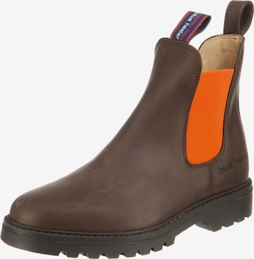 Blue Heeler Chelsea Boots 'Jackaroo' in Brown: front