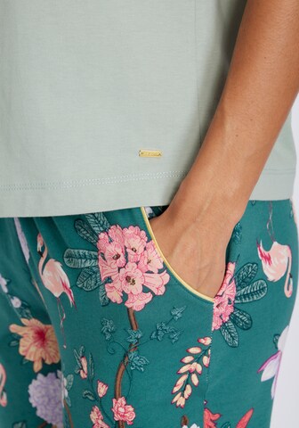 LASCANA Pajama in Green