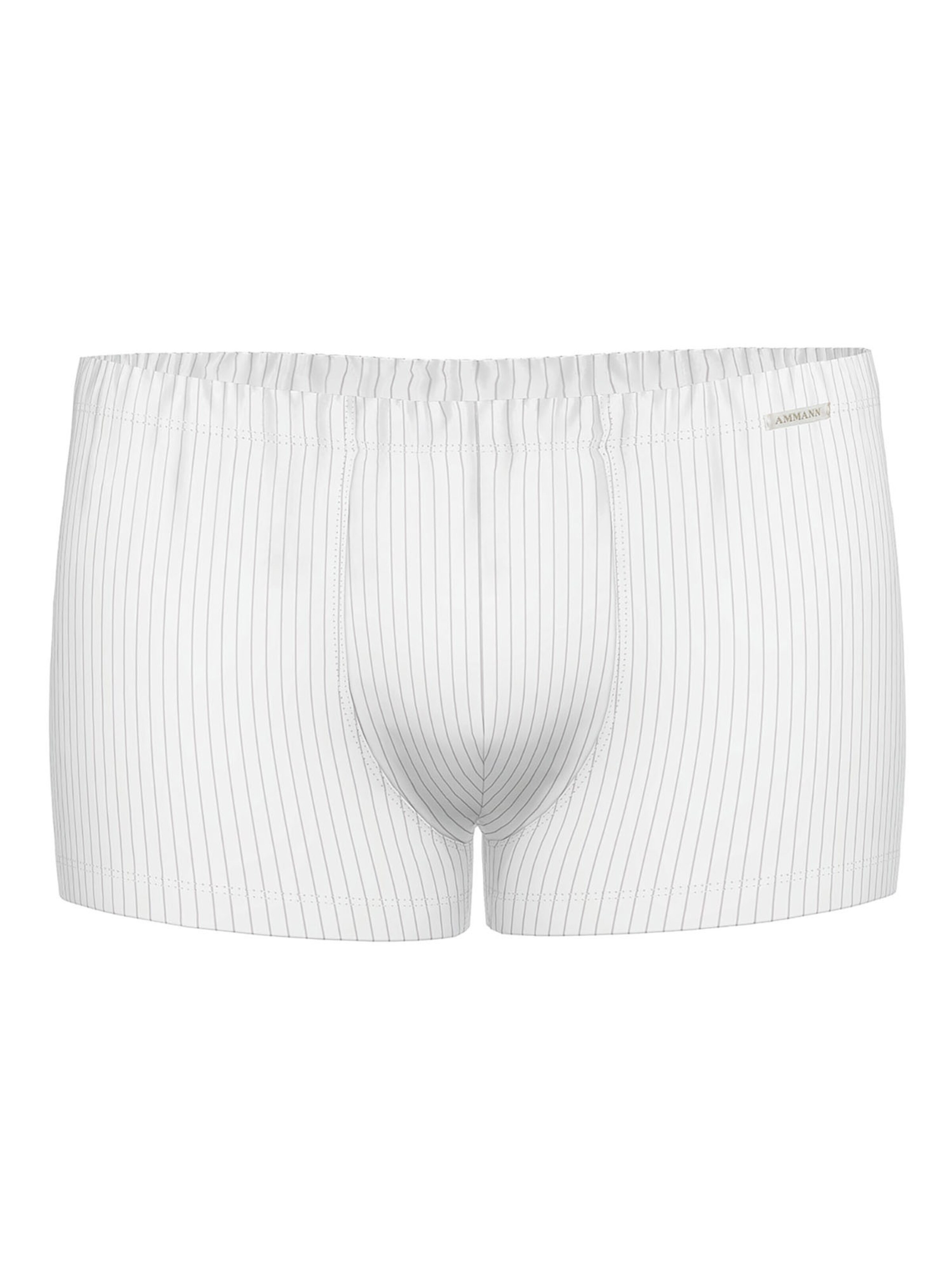 Ammann Boxer shorts 'Day Modern / Smart & Stripes' in White: front