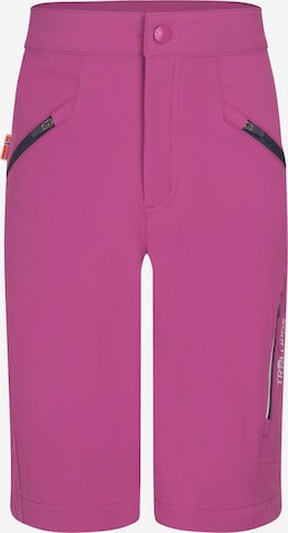 TROLLKIDS Regular Workout Pants in Pink: front