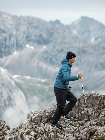 ADIDAS TERREX Lågsko 'Ax4' i svart