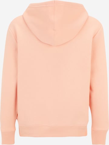 Gap PetiteSweater majica 'HERITAGE' - narančasta boja