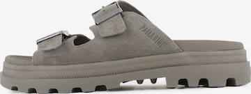 Palladium Pantolette in Grau: Vorderseite