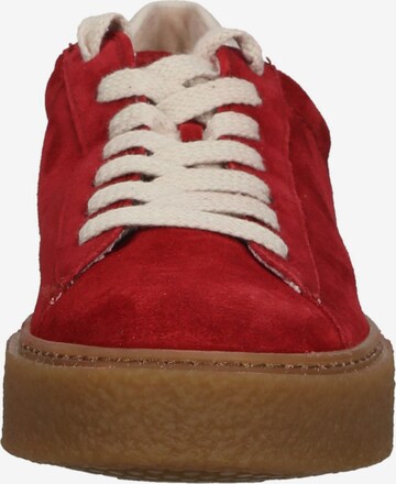 Paul Green Sneaker low in Rot