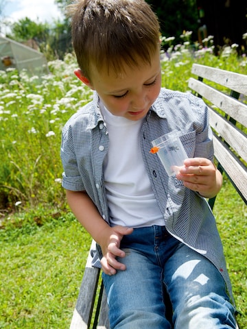 HABA Experimentierkasten ' Terra Kids Insektensauger ' in Mischfarben