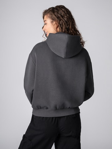 Sublevel Sweatshirt in Grey