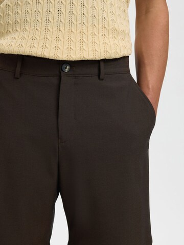 regular Pantaloni chino di SELECTED in marrone