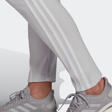 Survêtement ADIDAS SPORTSWEAR en gris