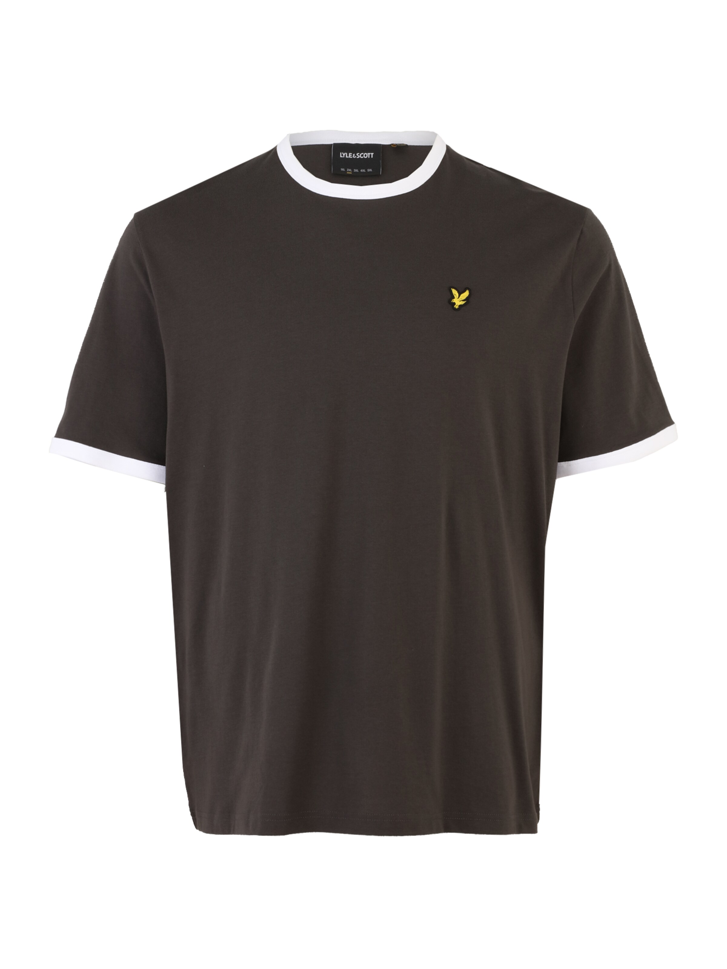 pelēks Lyle & Scott Big&Tall T-Krekls: no priekšpuses
