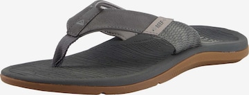 REEF T-Bar Sandals ' Santa Ana ' in Grey: front