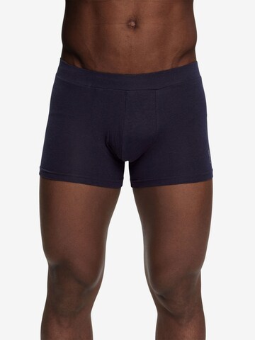 ESPRIT Boxer shorts in Blue