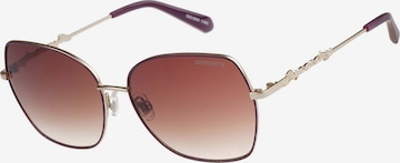 Superdry Eyewear Sonnenbrille in Lila: Vorderseite