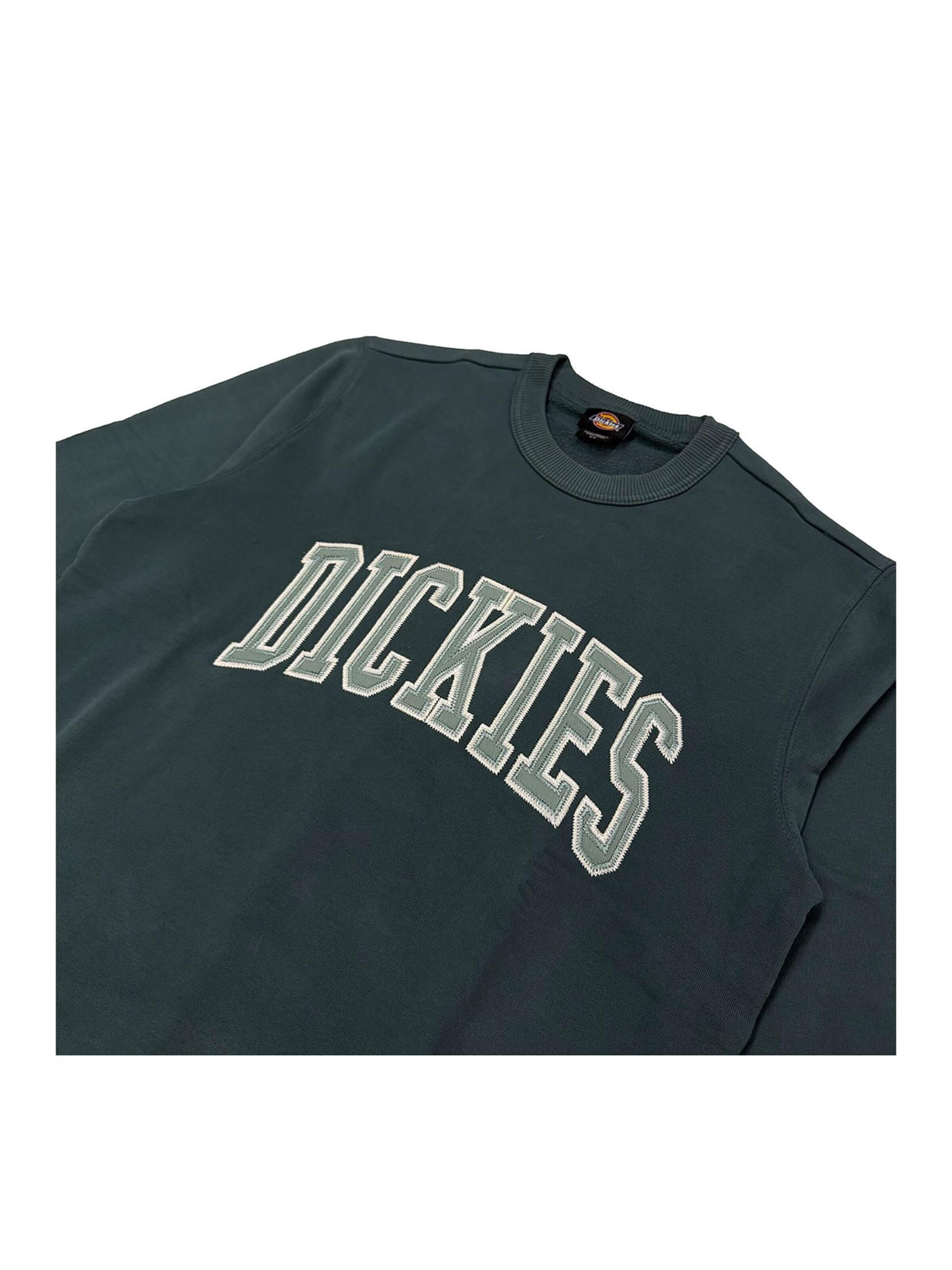 DICKIES Sweatshirt 'Aitkin'‌‌‌‌‌‌‌‌‌‌ in Grün