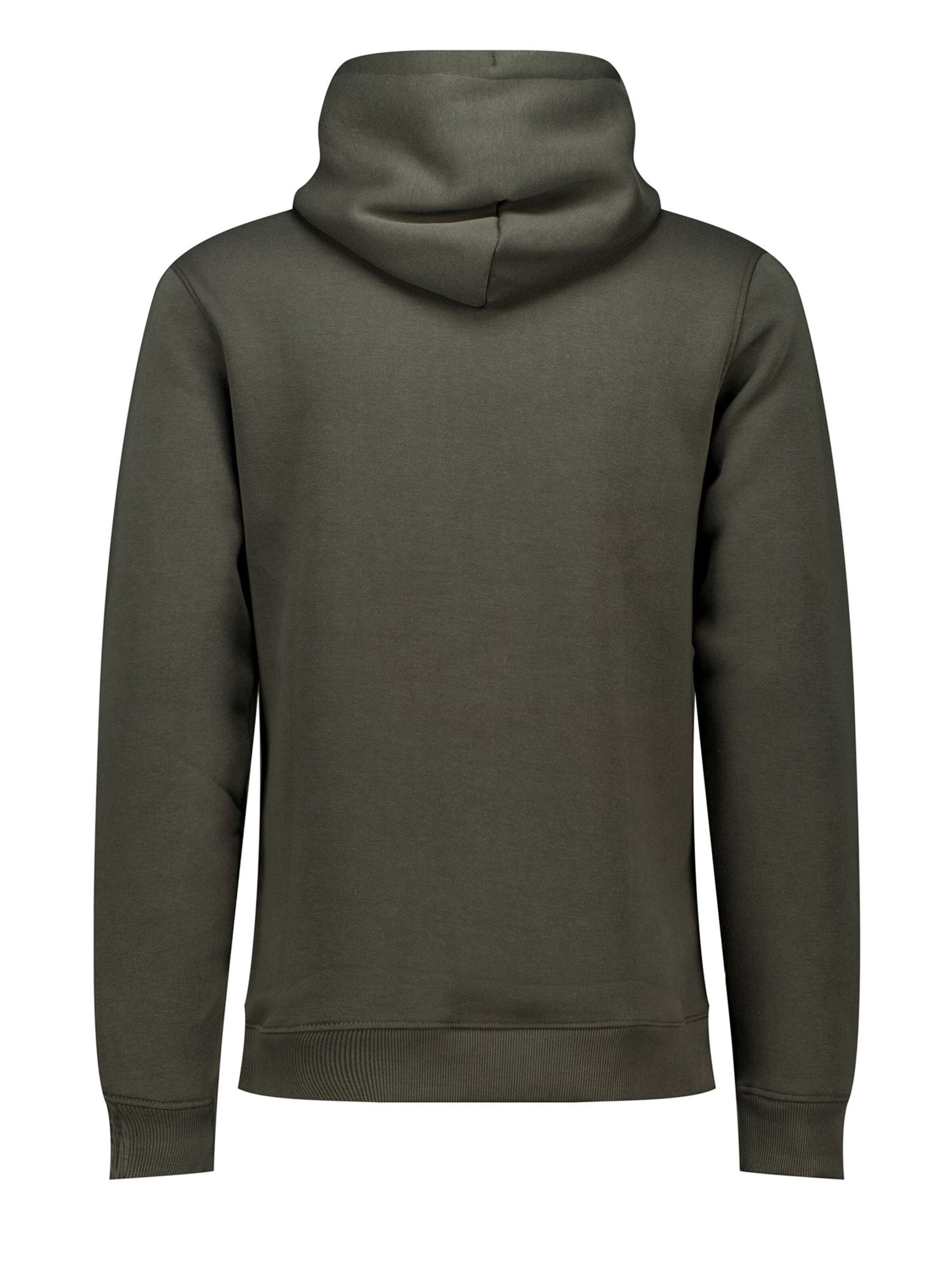 Deeluxe Sweatshirt in Green