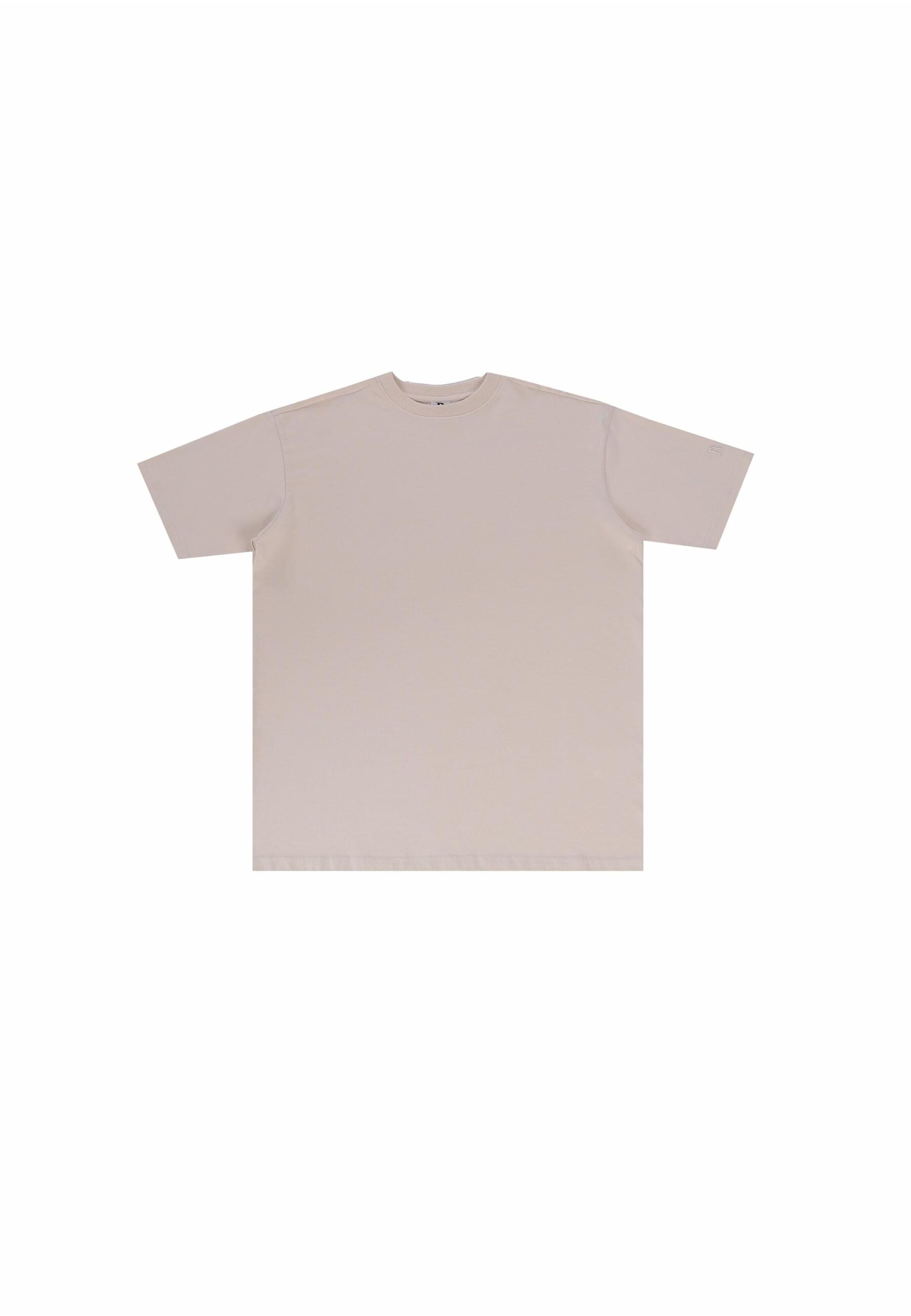 T-Shirt Dropsize en beige : devant