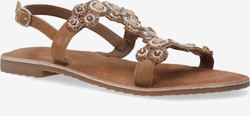 VENEZIA Strap Sandals 'Venezia' in Brown: front