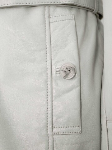 Mauritius Between-Season Jacket 'MWLeoniz' in Grey