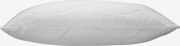 Wendre Pillow in White