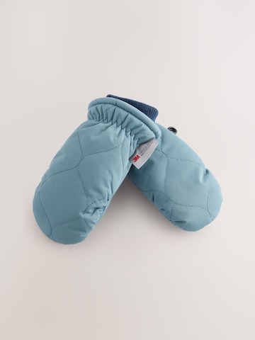 Next Handschuhe in Blau