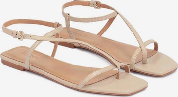 Kazar T-Bar Sandals in Beige