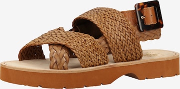SCOTCH & SODA Strap Sandals in Brown: front