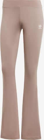 ADIDAS ORIGINALS Flared Leggings 'Flared' in Braun: Vorderseite