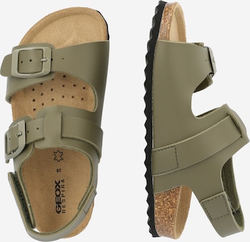 GEOX Sandals & Slippers 'Ghita' in Green