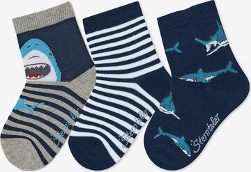 STERNTALER Socks in Blue