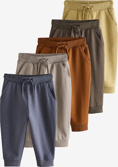 Kelnės iš Next, spalva – safyro / ruda (konjako) / pilka / rusvai žalia, Prekių apžvalga