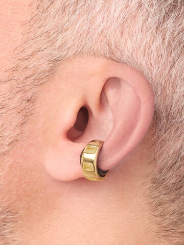 YParis Korvakoru 'Ear cuff Draco GB' värissä kulta