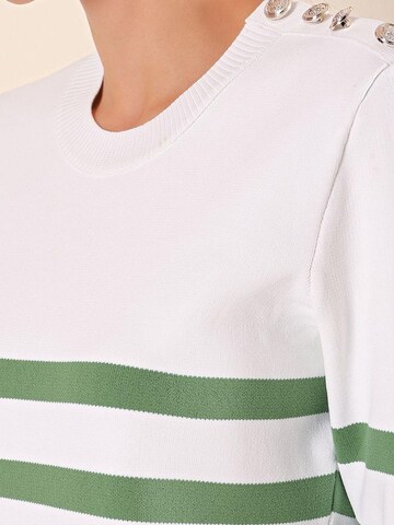 Bigdart Trui in Groen