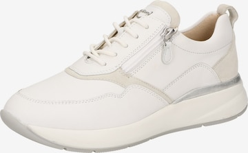 SIOUX Sneakers laag 'Segolia' in Wit: voorkant