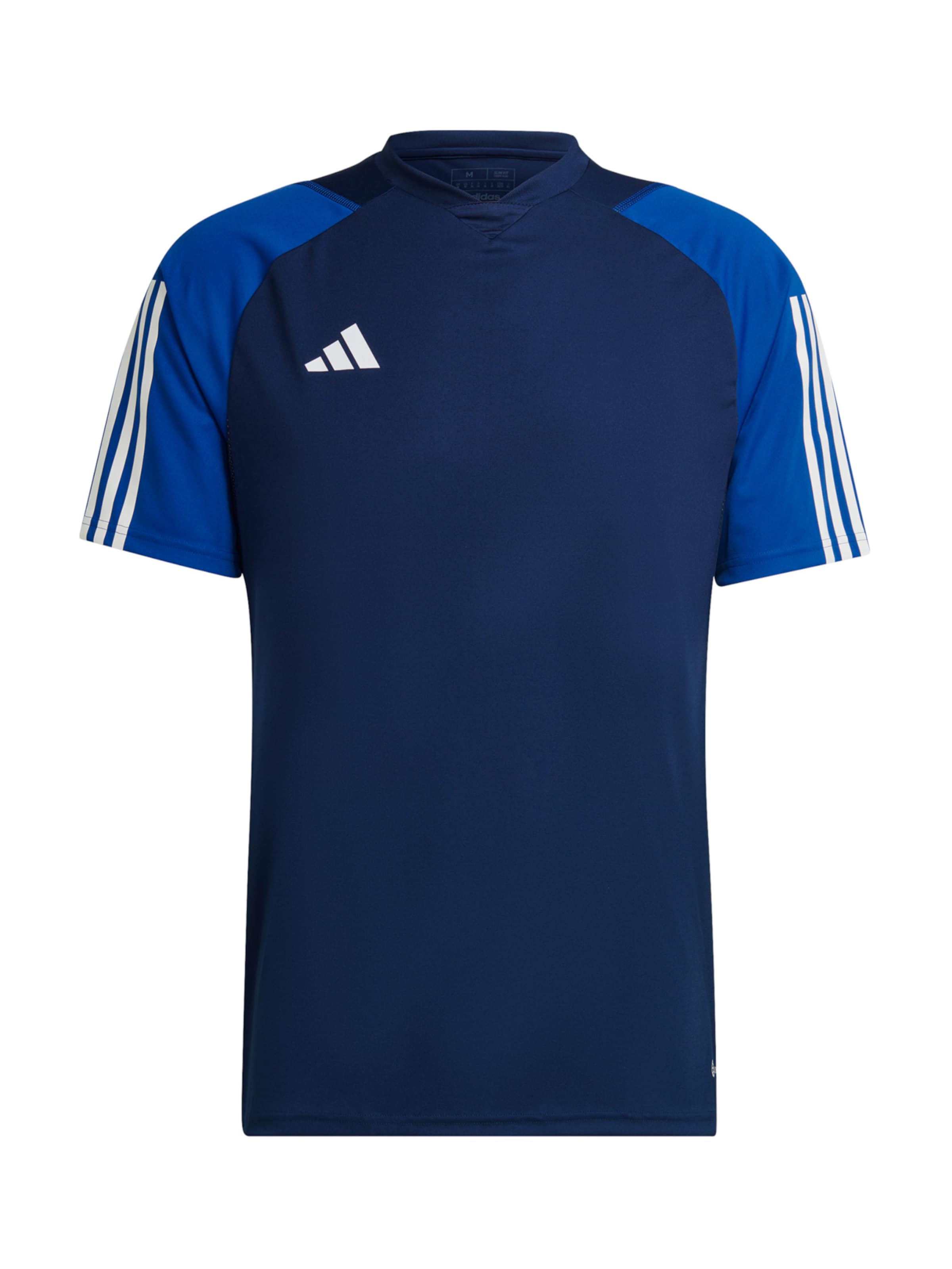 Adidas taglie store forti uomo