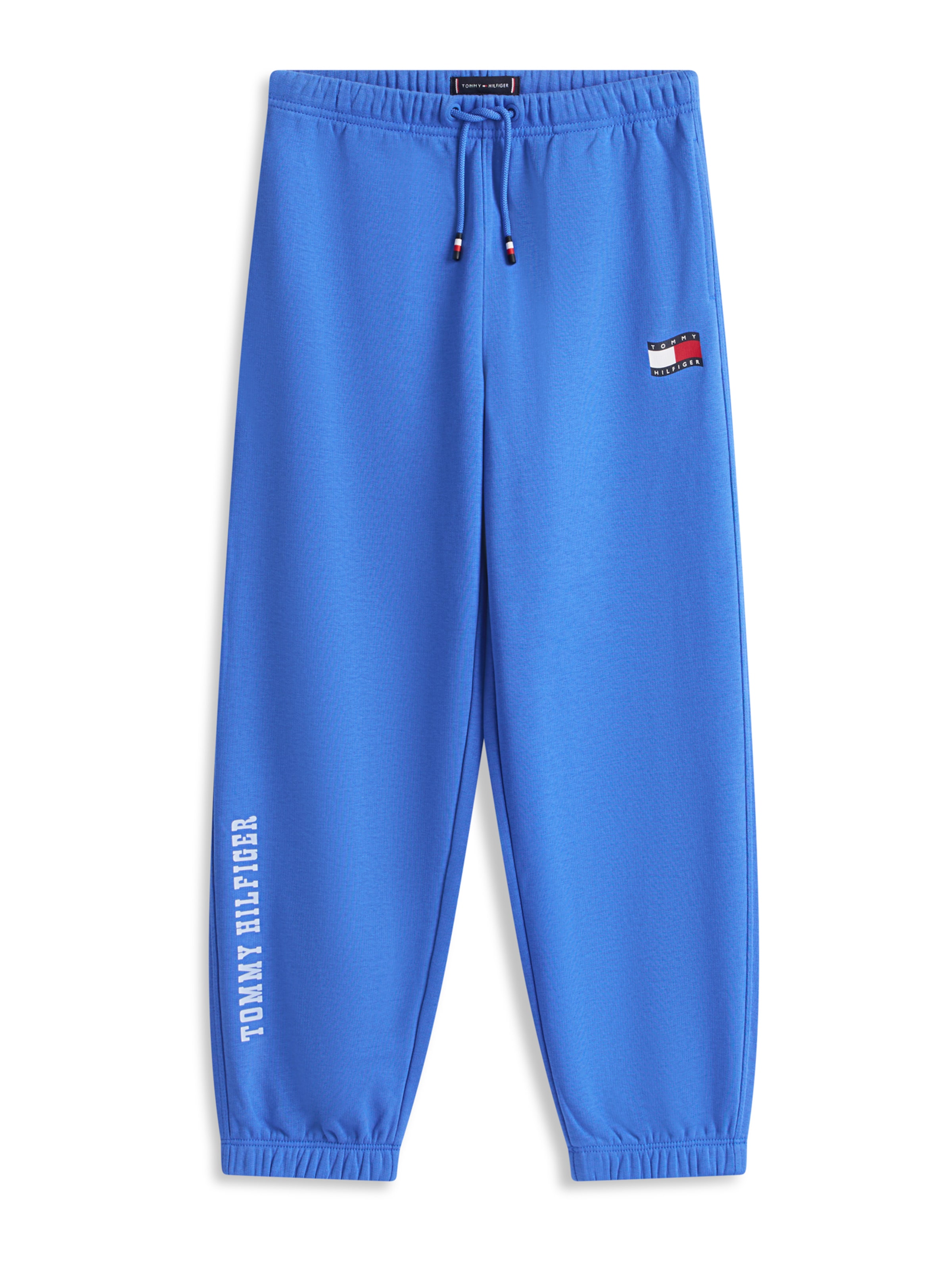 TOMMY HILFIGER Regular Pants in Blue: front