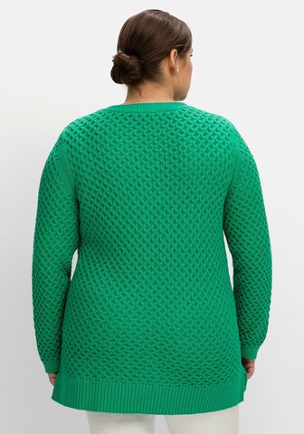 SHEEGO Sweater in Green